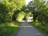 Ruwer-Hochwald-Radweg